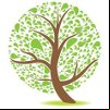 Bibebook jeune arbre